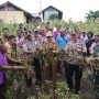 Kapolres Jayapura Hadiri Panen Perdana Kelompok Tani Na’nang