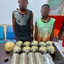 Simpan Ganja 3,8 Kg di Plapon Rumah; Dua Warga PNG Ditangkap Polisi