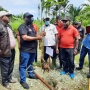 PDIP Papua Canangkan Gerakan Tanam Pohon Sagu di Hut ke-48