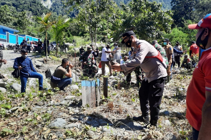 Relawan Jayapura Lakukan Aksi Tanam Pohon, Kenang Dua Tahun Banjir Bandang 