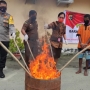Polres Jayapura Musnahkan 500 Gram Ganja dari Tiga Tersangka 