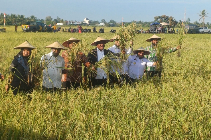 Hadiri Panen Raya Padi 60 Hektar di Nabire, Wamendagri Mengaku Bangga 