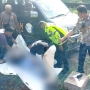 Hari Pertama 2024 di Kota Jayapura, Dua Pengendara Motor Tewas Akibat Miras
