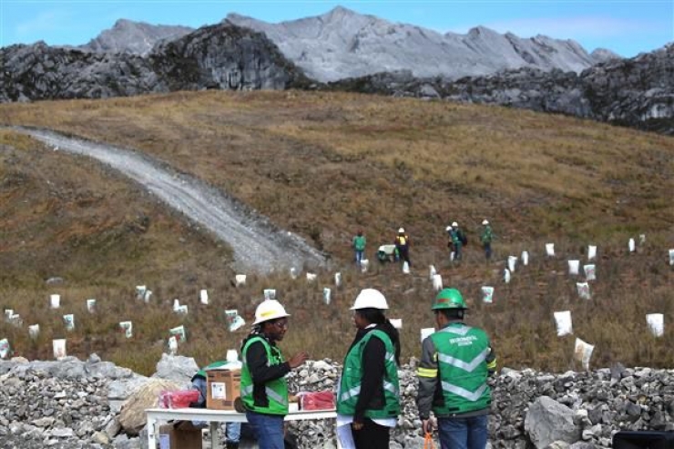 Peringati Hari Lingkungan Hidup 2024, PTFI dan Pemkab Mimika Gelar Aksi Penghijauan di Grasberg 