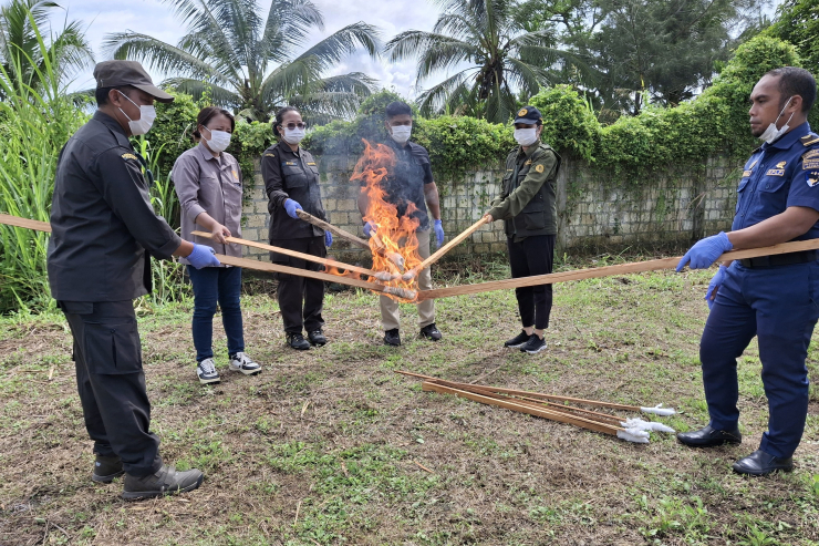 Cegah Flu Burung, Karantina Papua Musnahkan Unggas Tidak Berdokumen
