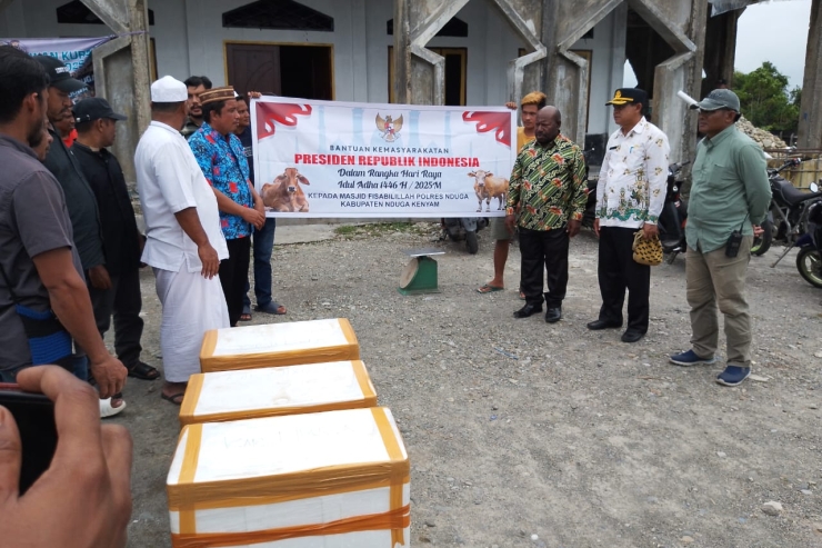Penyusutan Berat Daging Kurban Bantuan Presiden di Nduga Dipertanyakan, 850 kg jadi 144 kg