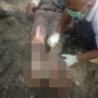 Pria Tanpa Identitas Ditemukan Tak Bernyawa di depan Lapangan Tembak Otonom Kotaraja Jayapura