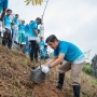 Hari Lingkungan Hidup, PLN Gelar Aksi Tanam Pohon di Kawasan GI Skyline Jayapura