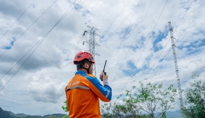 PLN Turunkan Puluhan Personel, Pulihkan Listrik 100% Usai Gangguan Pohon Tumbang di Jayapura