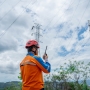 PLN Turunkan Puluhan Personel, Pulihkan Listrik 100% Usai Gangguan Pohon Tumbang di Jayapura