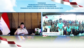 Usai Diresmikan Presiden, Kini Ratusan Pelanggan di Kabupaten Mappi Nikmati Listrik Bersih PLN