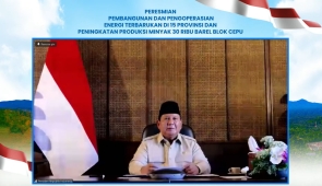 Presiden Prabowo Resmikan 47 PLTS di 11 Provinsi Indonesia