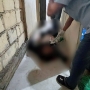 Seorang Guru yang juga Pemilik Laundry di Abepura, Ditemukan Tewas Mengenaskan