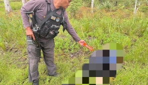 Pegawai Honerer di Yahukimo Tewas Dianiaya, Pelaku Diduga KKB