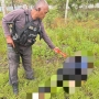 Pegawai Honerer di Yahukimo Tewas Dianiaya, Pelaku Diduga KKB