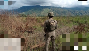 Satgas Ops Damai Cartenz Amankan Giat Penanaman Jagung Serentak di Wamena