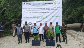 Dukung Ekowisata Daerah Pesisir, PLN UP3 Manokwari Tanam 1.000 Bibit Mangrove