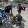 Anggota KKB Konara Enumbi Diketahui Terlibat Kasus Pembunuhan Brigpol Enok di Puncak Jaya
