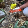Polisi Selidiki Penemuan Seratusan Butir Peluru dan Perlengkapan Air Soft Gun di Lapangan Kehiran Sentani