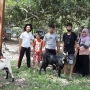 Aksi Bersama Untuk Sesama, Lazismu  Kota Jayapura  Salurkan Hewan Qurban