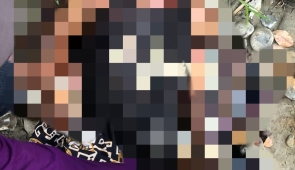 Dua Pekerja Gaharu, jadi Korban Pembunuhan OTK di Yahukimo